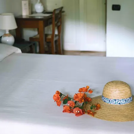 Ravesi Malfa (Salina)